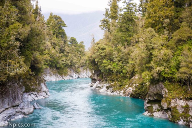 Nashville Photographer, Family, Couples, Photographers, professional videographers 2026