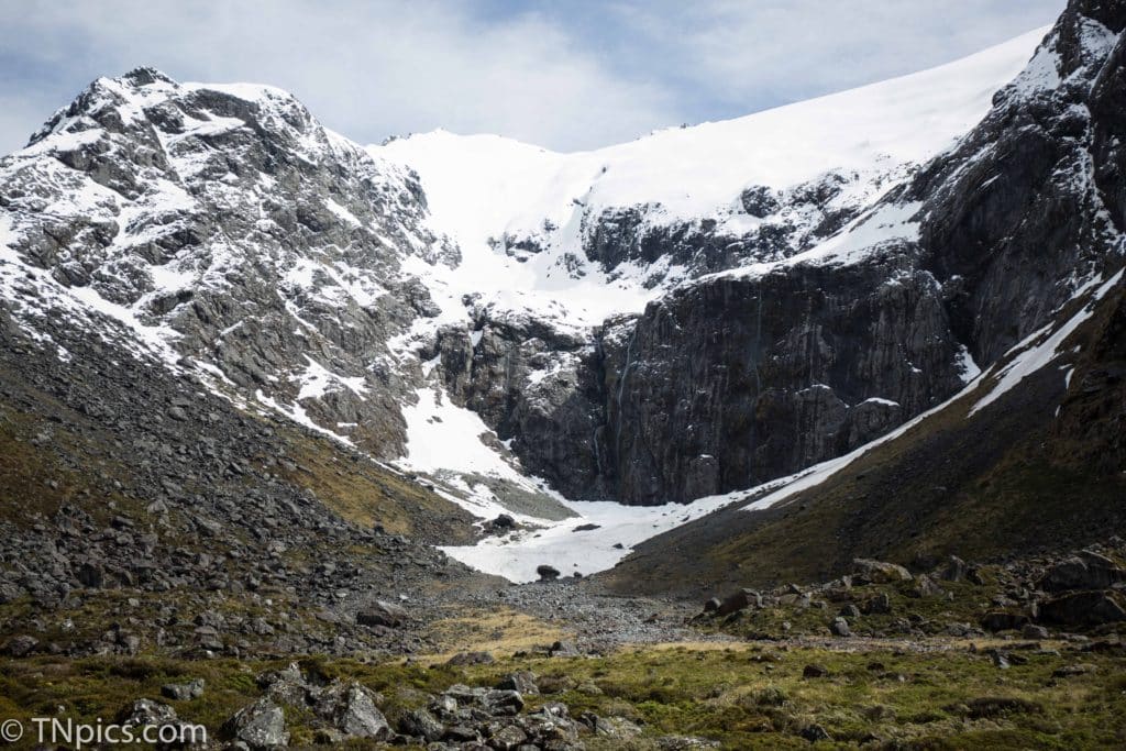 Nashville Photographer, Family, Couples, Photographers, professional videographers 2026