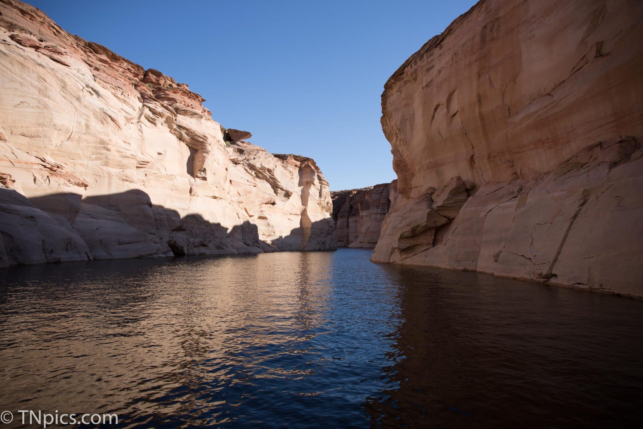 Nashville Photographer, Family, Couples, Photographers, professional videographers 2026