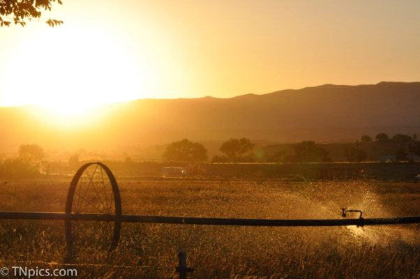 Nashville Photographer, Family, Couples, Photographers, professional videographers 2026